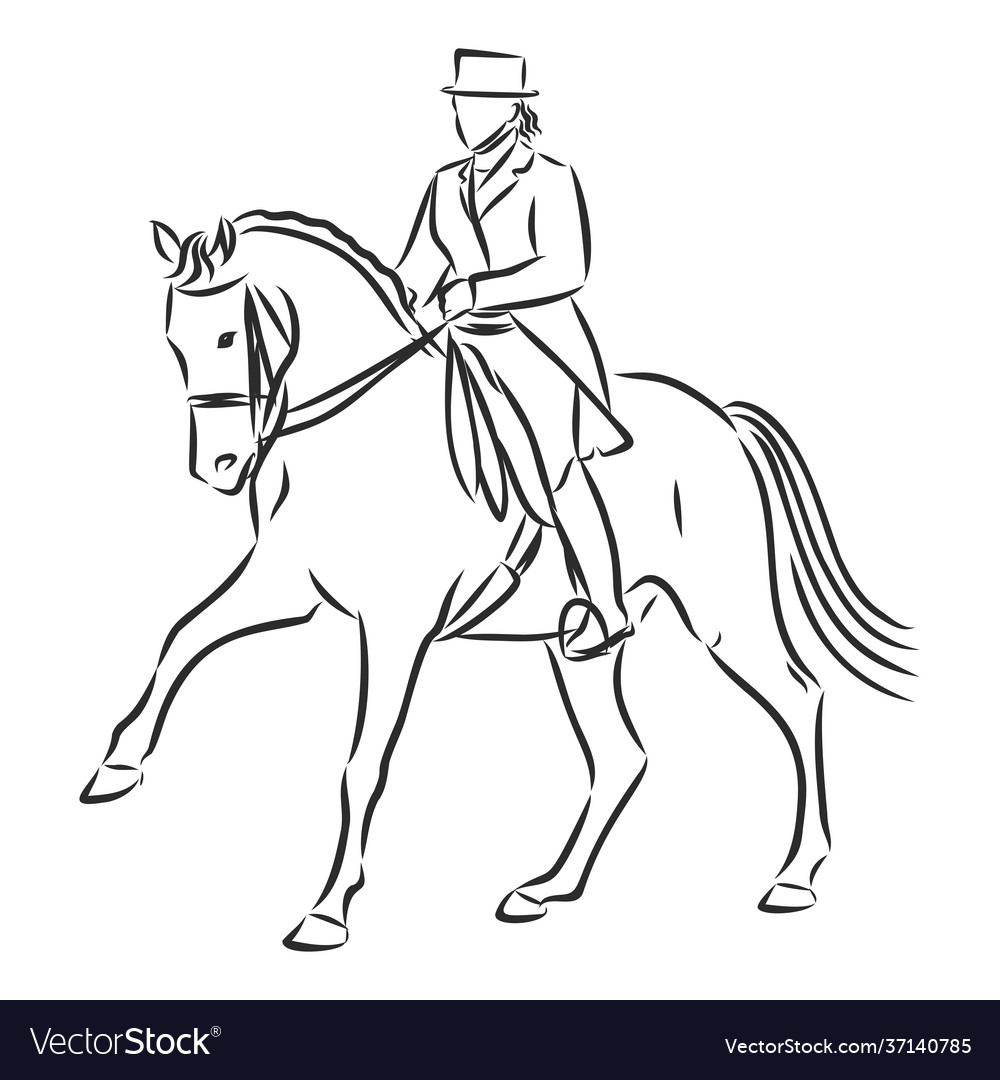 A sketch dressage rider on horse executing Vector Image