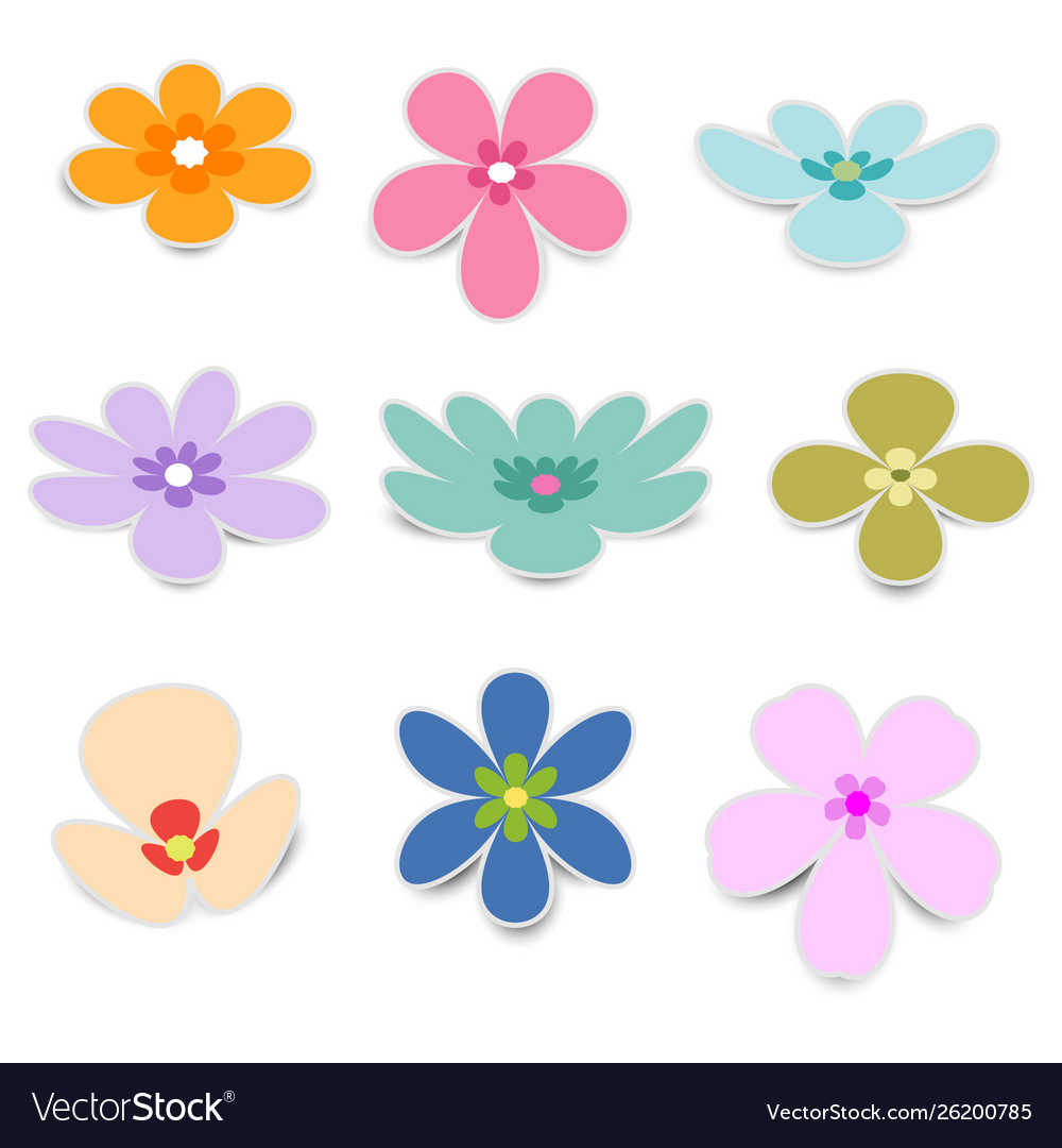 Flower paper with shadow on white background Vector Image