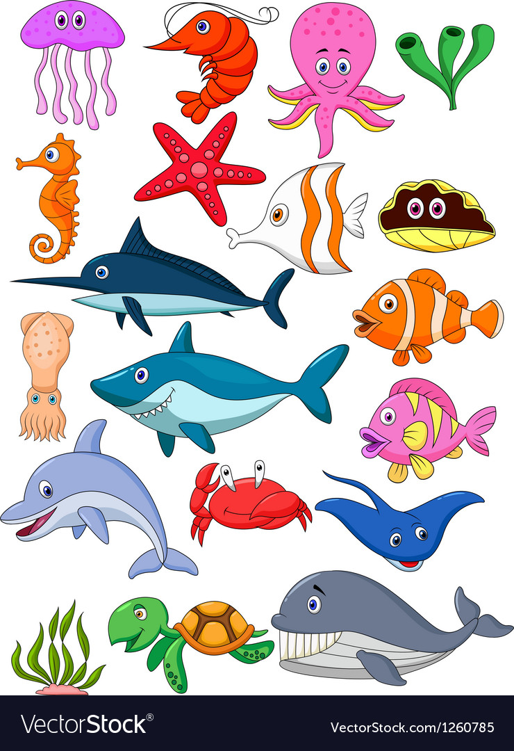 sea life cartoon clipart