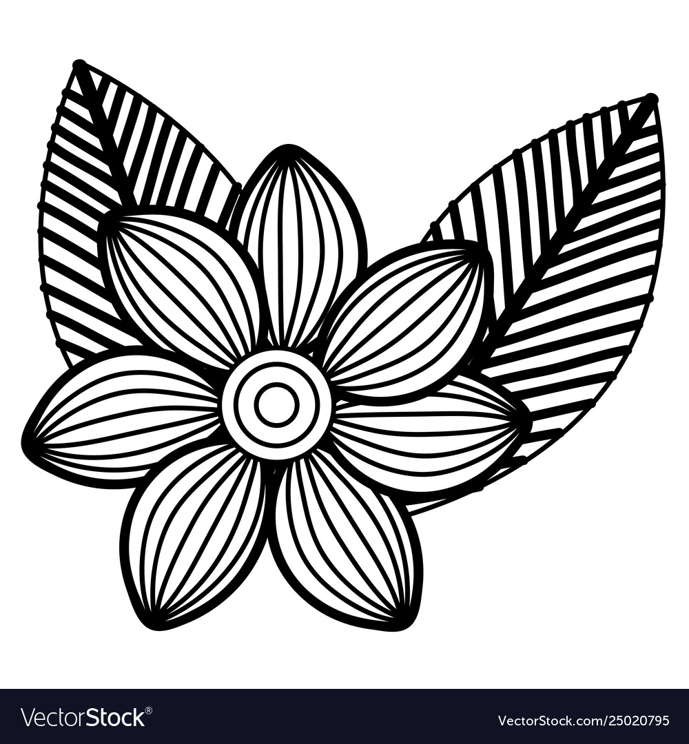 Beautiful flower drawing monochrome Royalty Free Vector