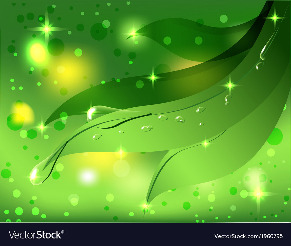 Beautiful green background with leaves and dew