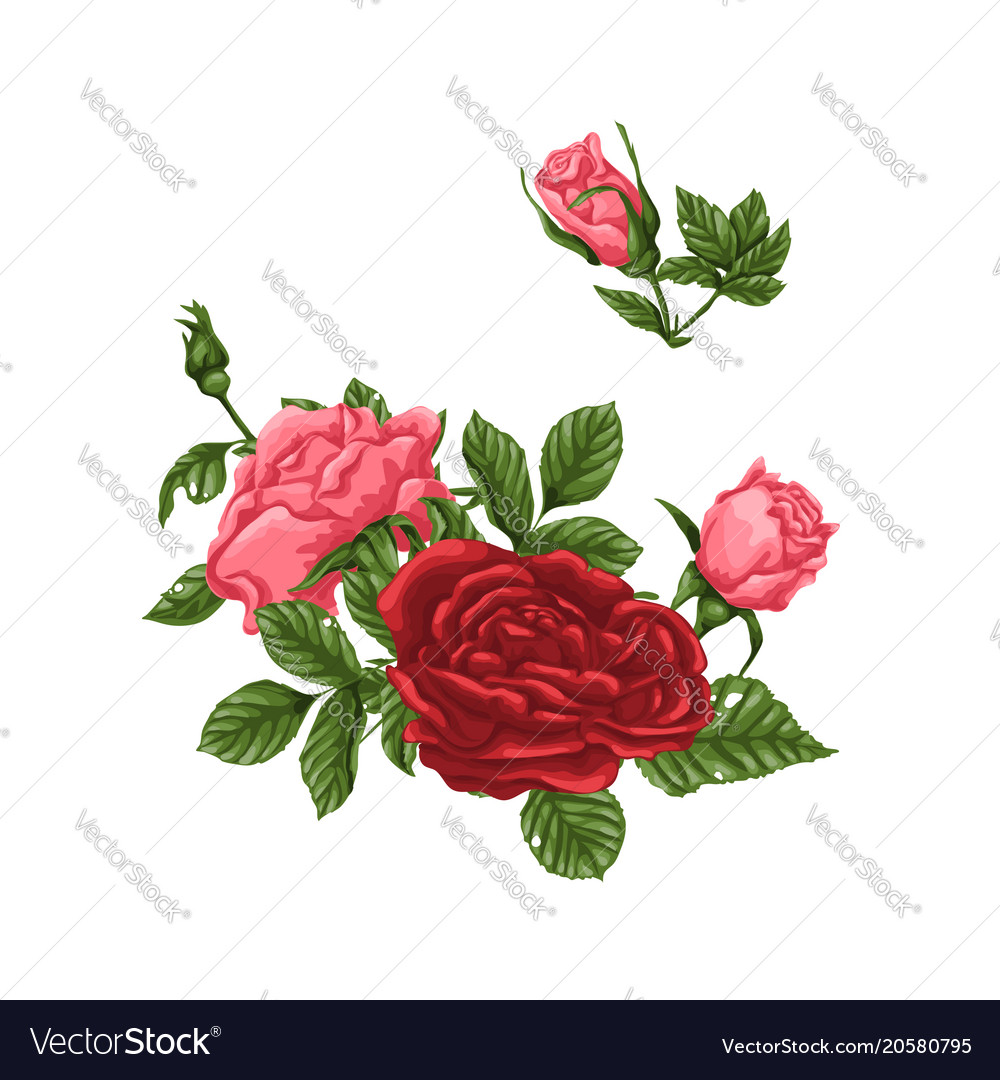 Set Pink And Red Roses Bouquets Flowers And Vector Image 8718