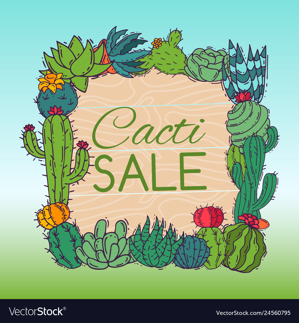 Succulents sale cacti green plants