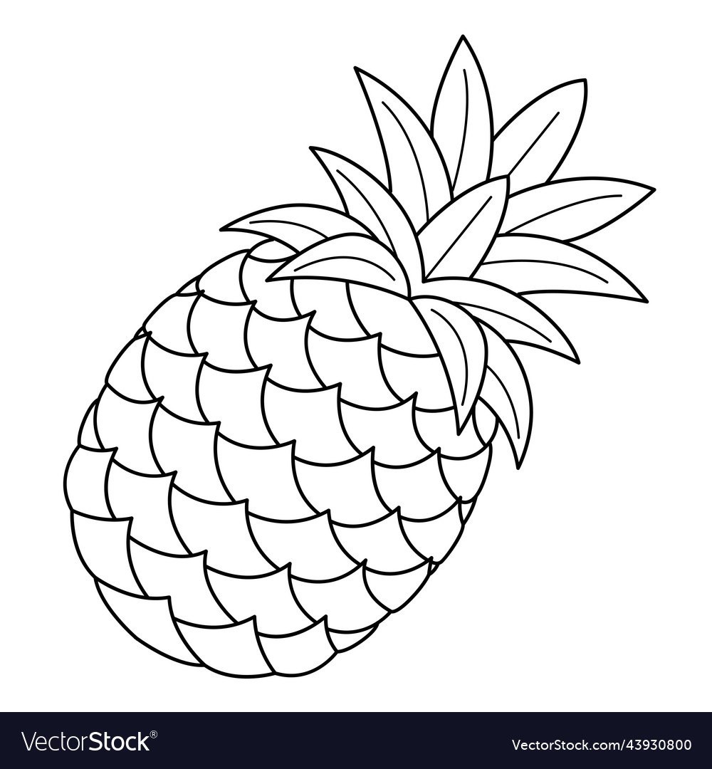 Pineapple Drawing For Kids