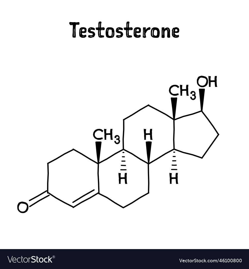 Testosterone structural formula of molecular Vector Image