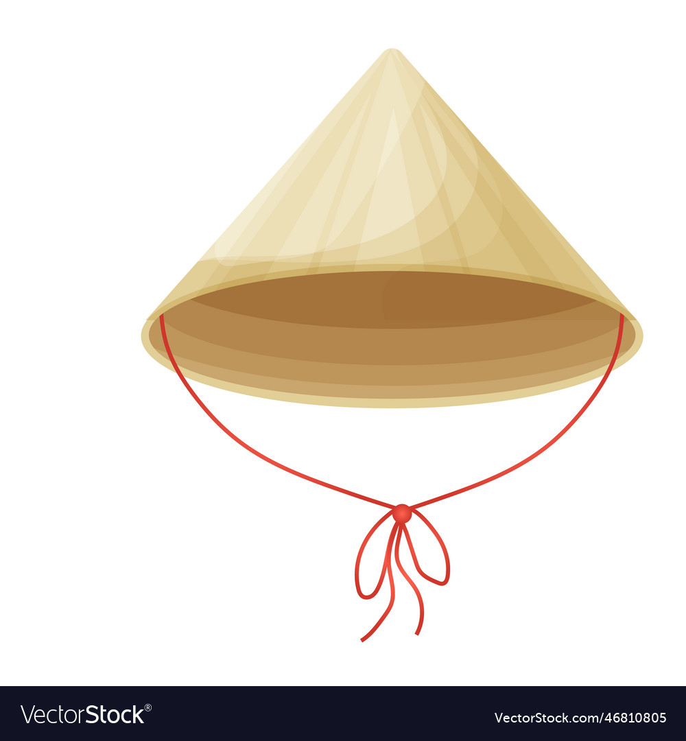 Conical traditional asian hat from natural Vector Image