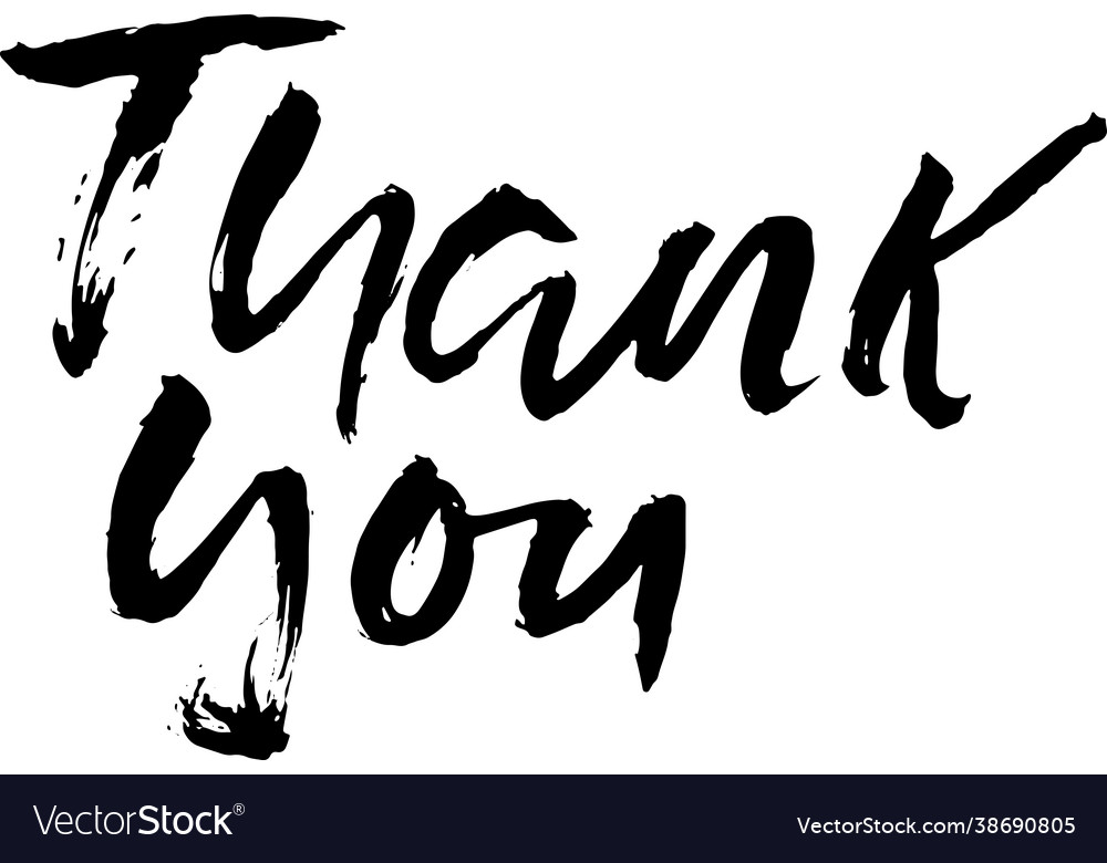 Thank you handwritten dry brush inscription hand Vector Image