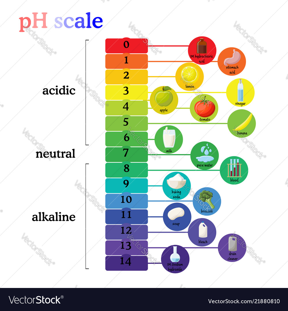 ph-scale-diagram-with-corresponding-acidic-or-vector-image-my-xxx-hot