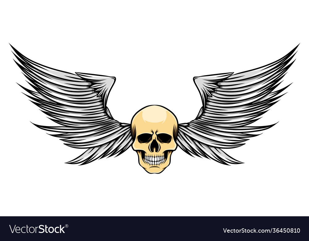 Sharp wings with skinny head dead Royalty Free Vector Image