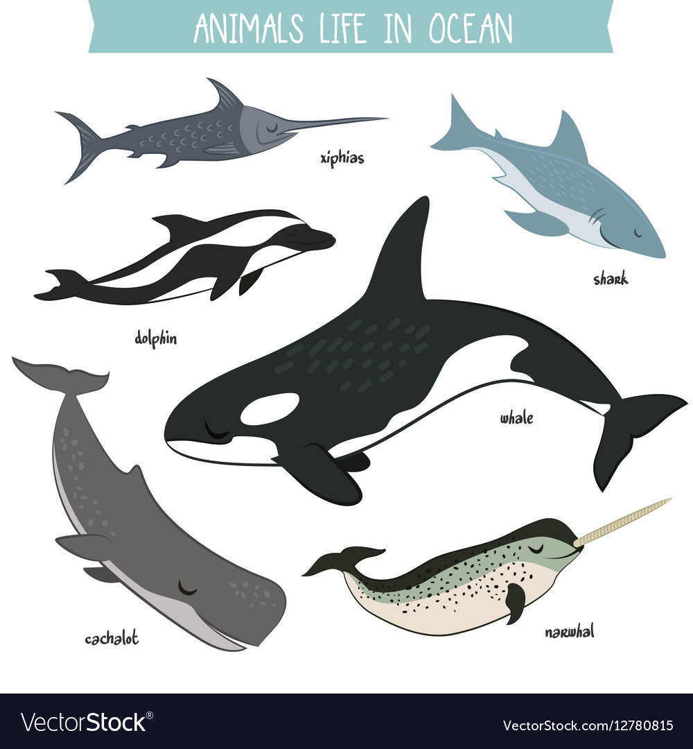 Animals life in ocean isolated set Royalty Free Vector Image