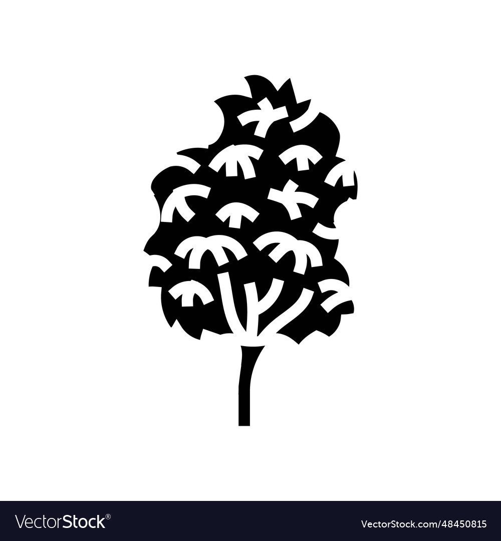 Kauri tree jungle amazon glyph icon Royalty Free Vector