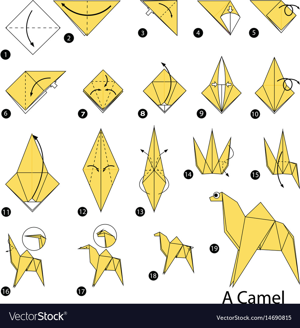 Step step instructions how to make origami Vector Image