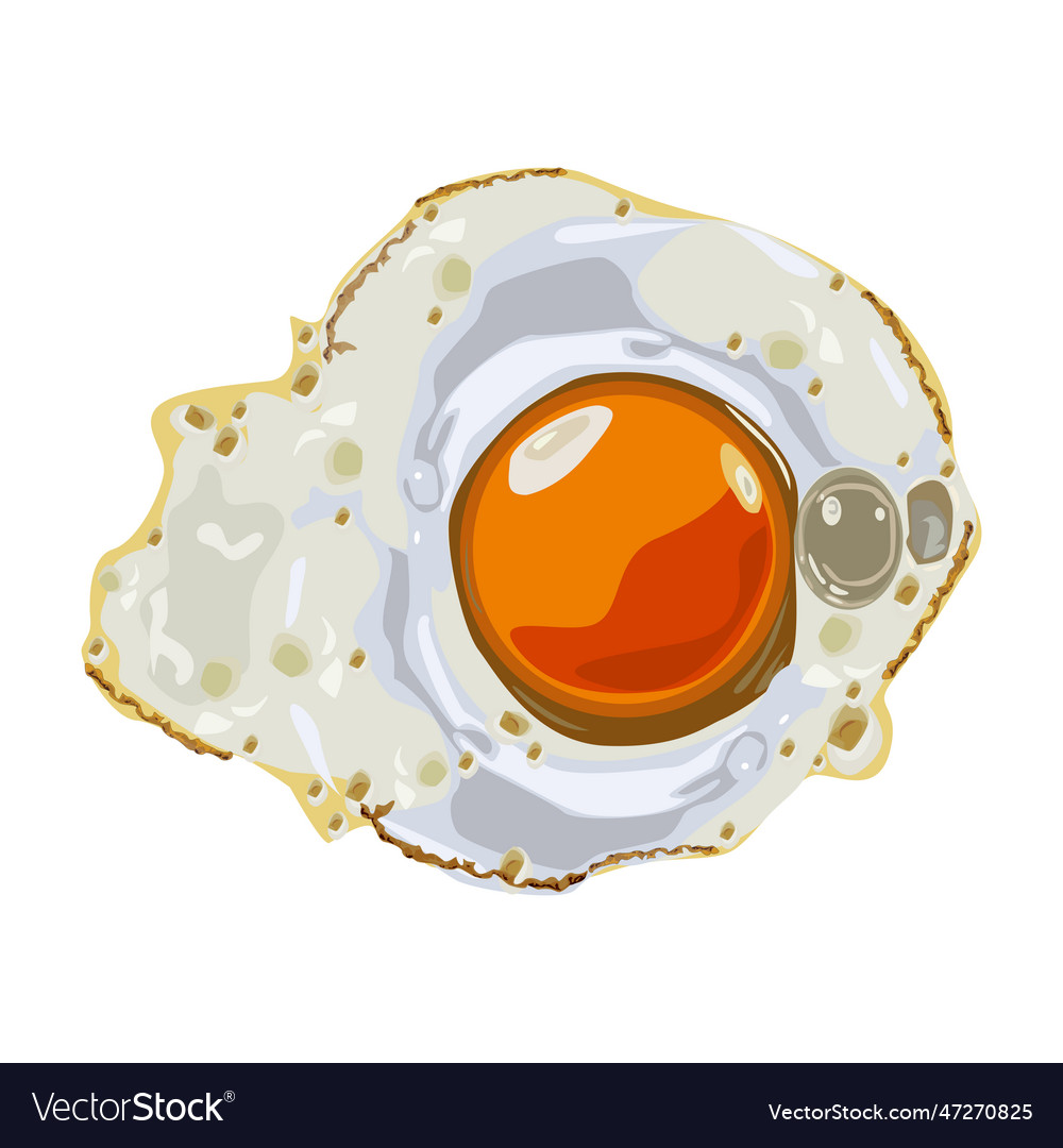 Fried Eggs Royalty Free Vector Image Vectorstock