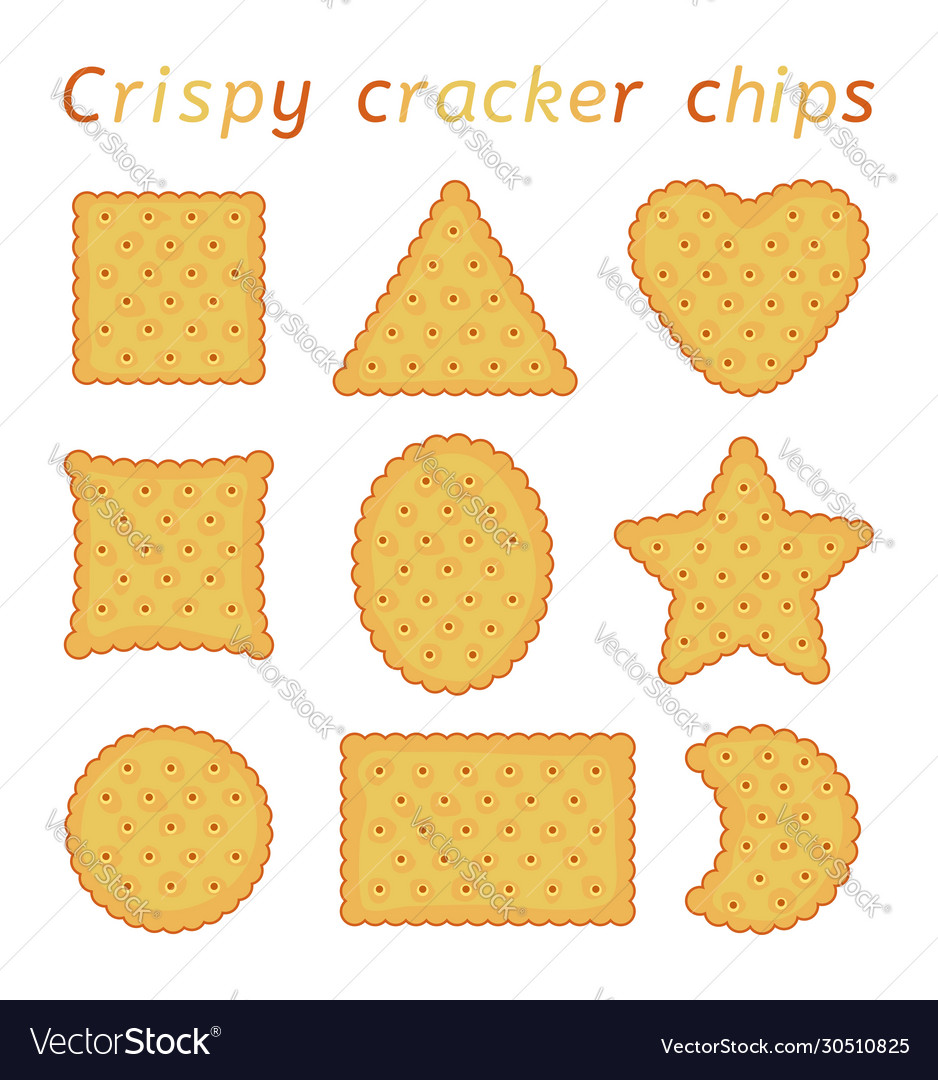 Set baked cracker chips different shapes Vector Image