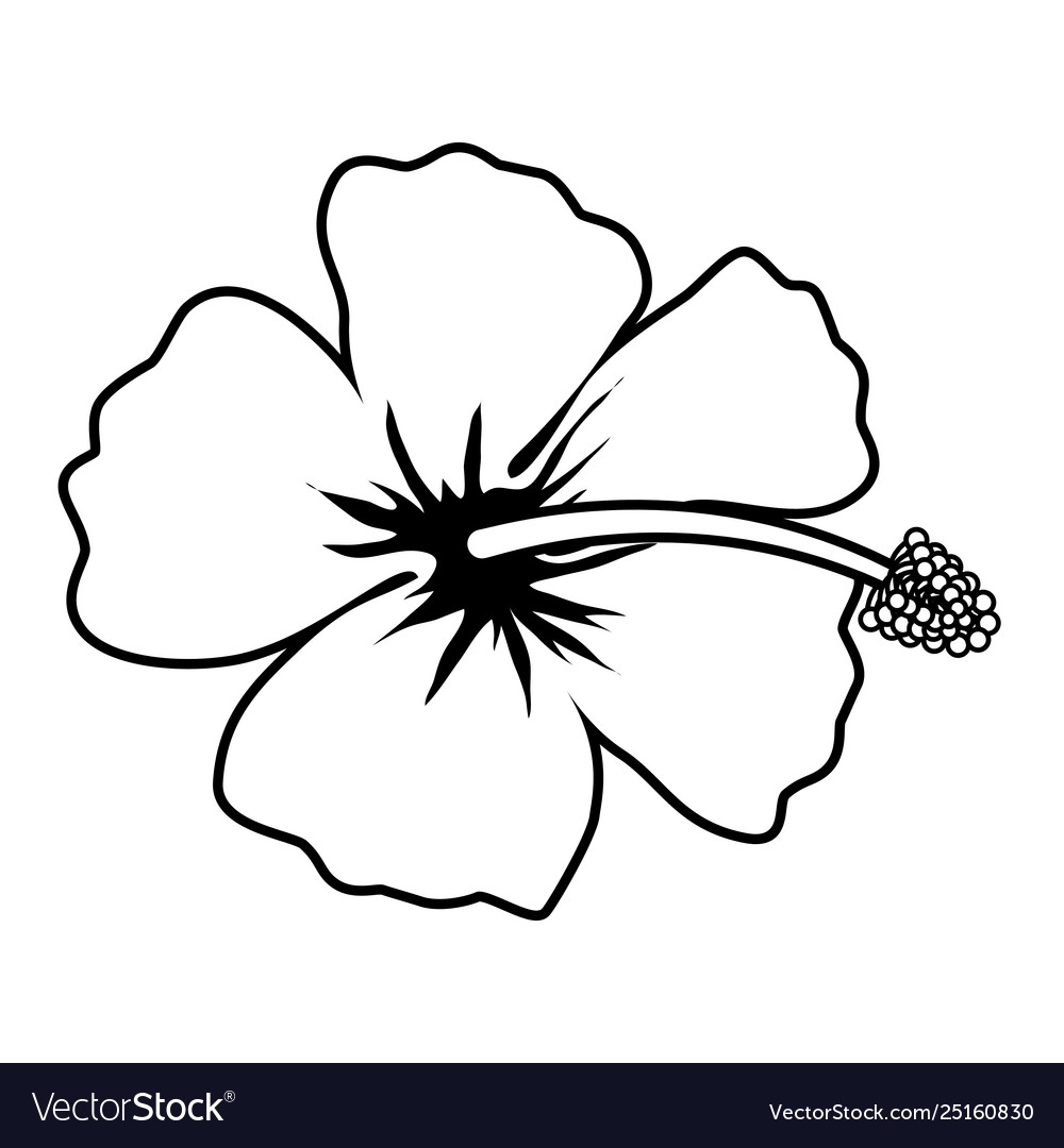 Exotic tropical flower icon Royalty Free Vector Image