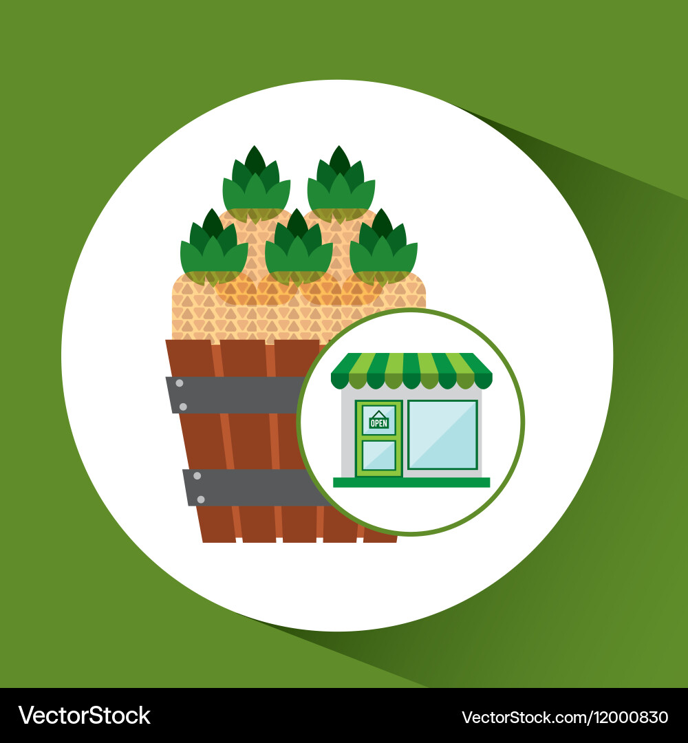 Store fresh pineapple farm product Royalty Free Vector Image