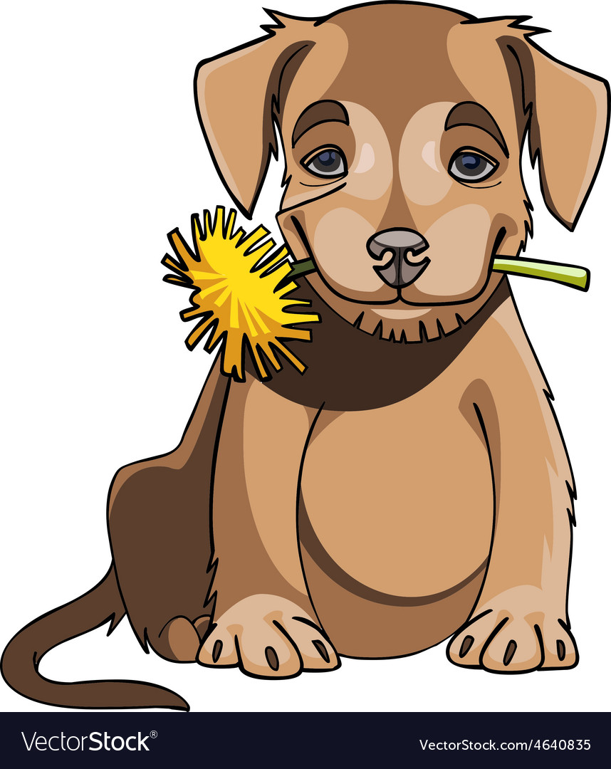 Cartoon cute puppy holding a dandelion in mouth Vector Image Cartoon cute puppy holding a dandelion in mouth Vector Image