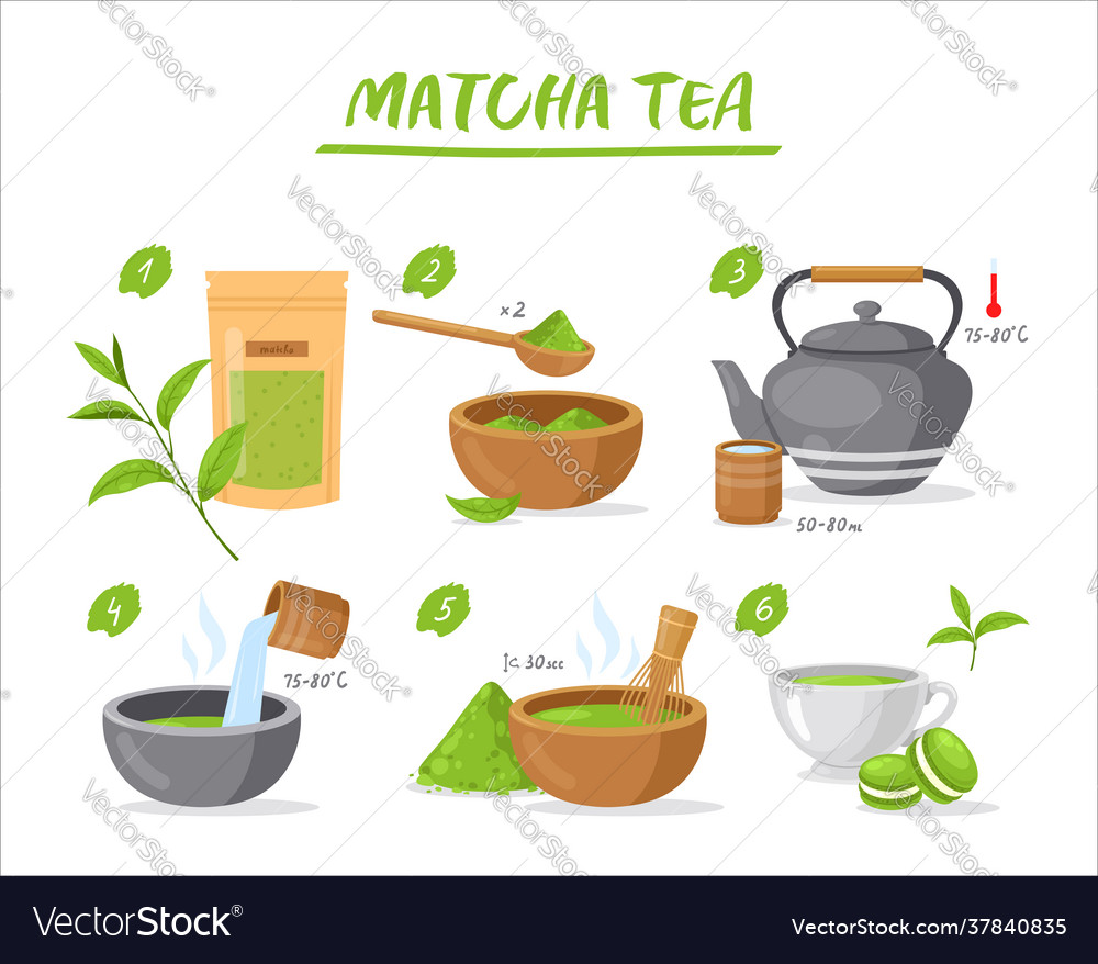 Matcha tea instruction Royalty Free Vector Image