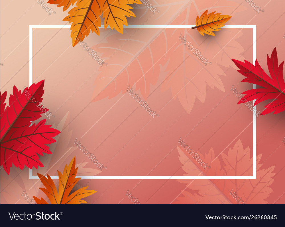 Autumn leaves background design with copy space Vector Image