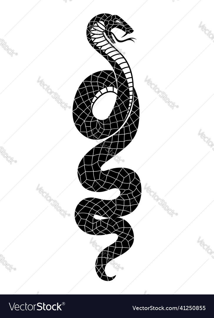 Angry snake icon Royalty Free Vector Image - VectorStock