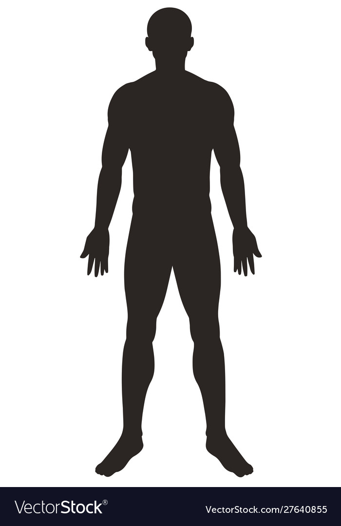 Silhouette man on white background Royalty Free Vector Image