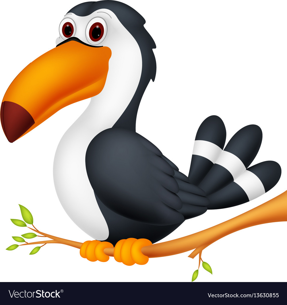 Toucan bird cartoon Royalty Free Vector Image - VectorStock