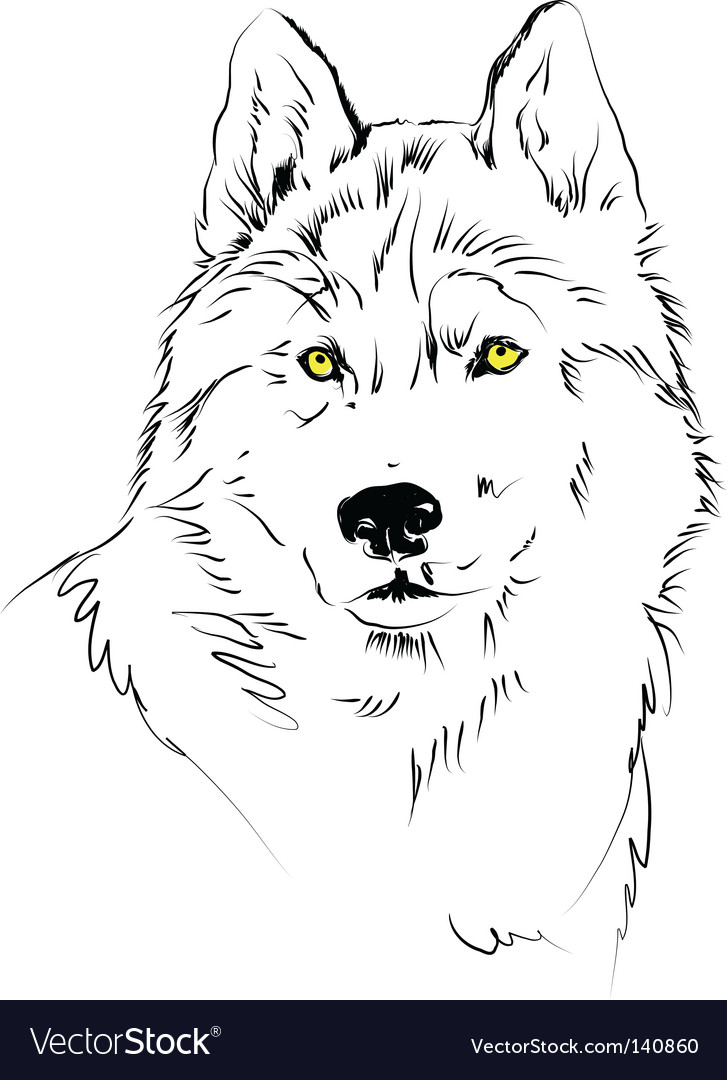 Wolf Royalty Free Vector Image - Vectorstock