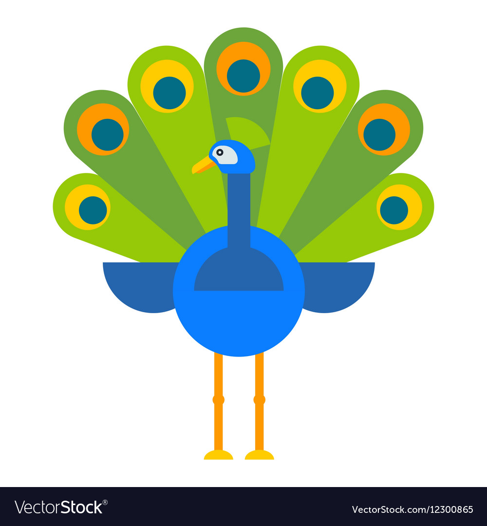 Beautiful peacock colorful bird Royalty Free Vector Image