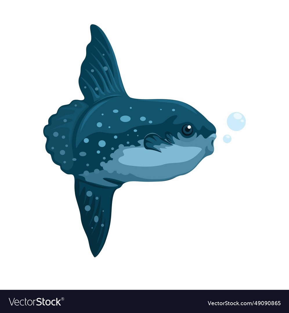 Mola Fish Aquatic Animal Species Cartoon Vector Image