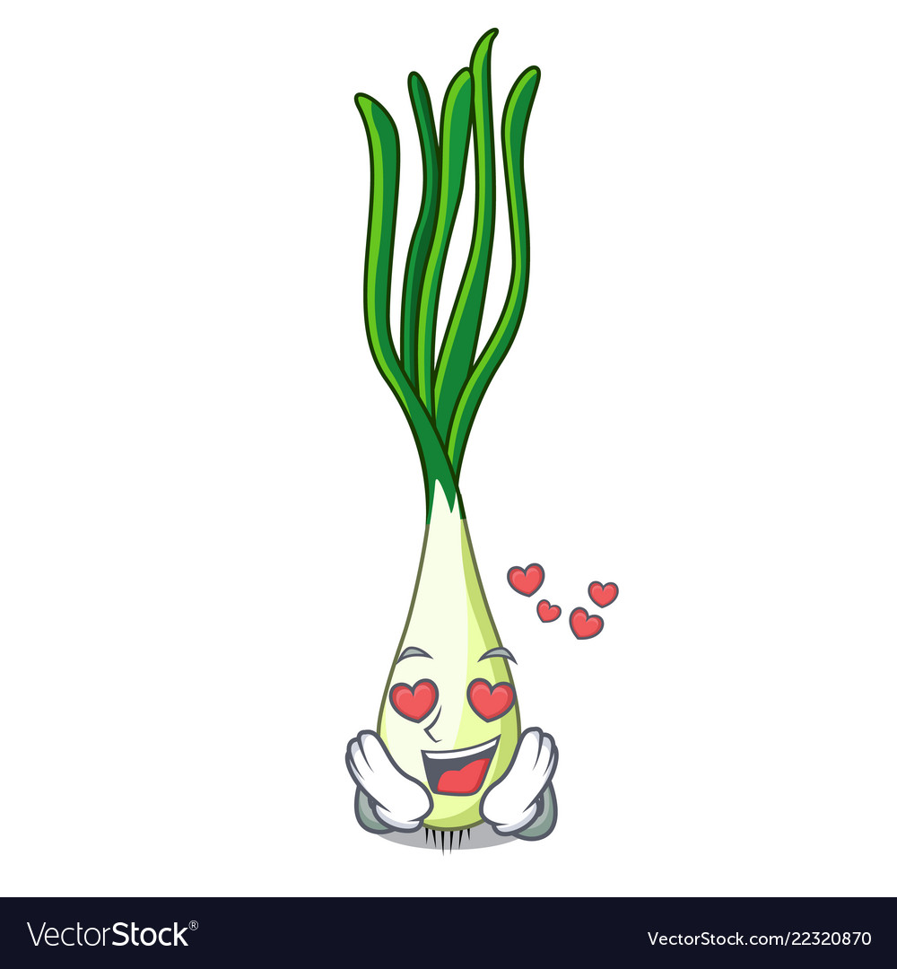 In love cartoon fresh spring onion for cooking Vector Image