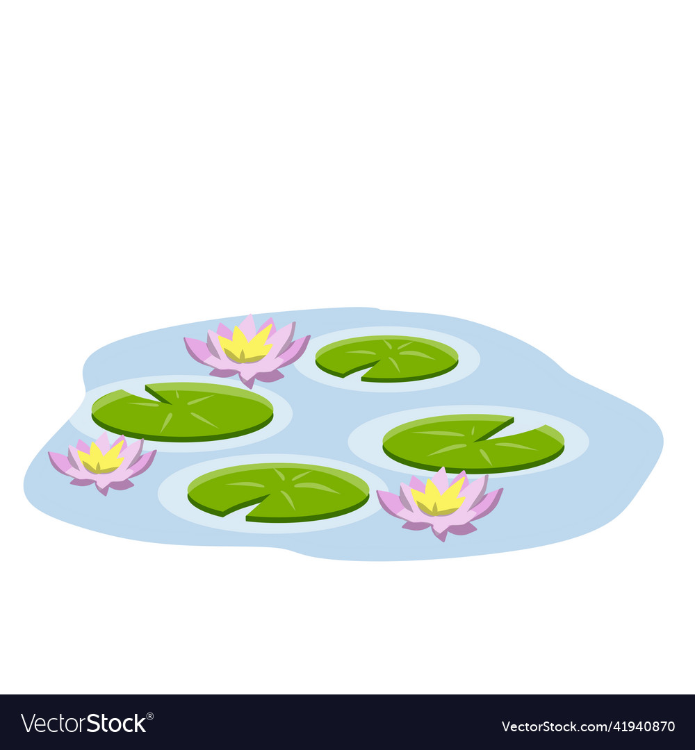 Nenuphars or lotus water lily Royalty Free Vector Image