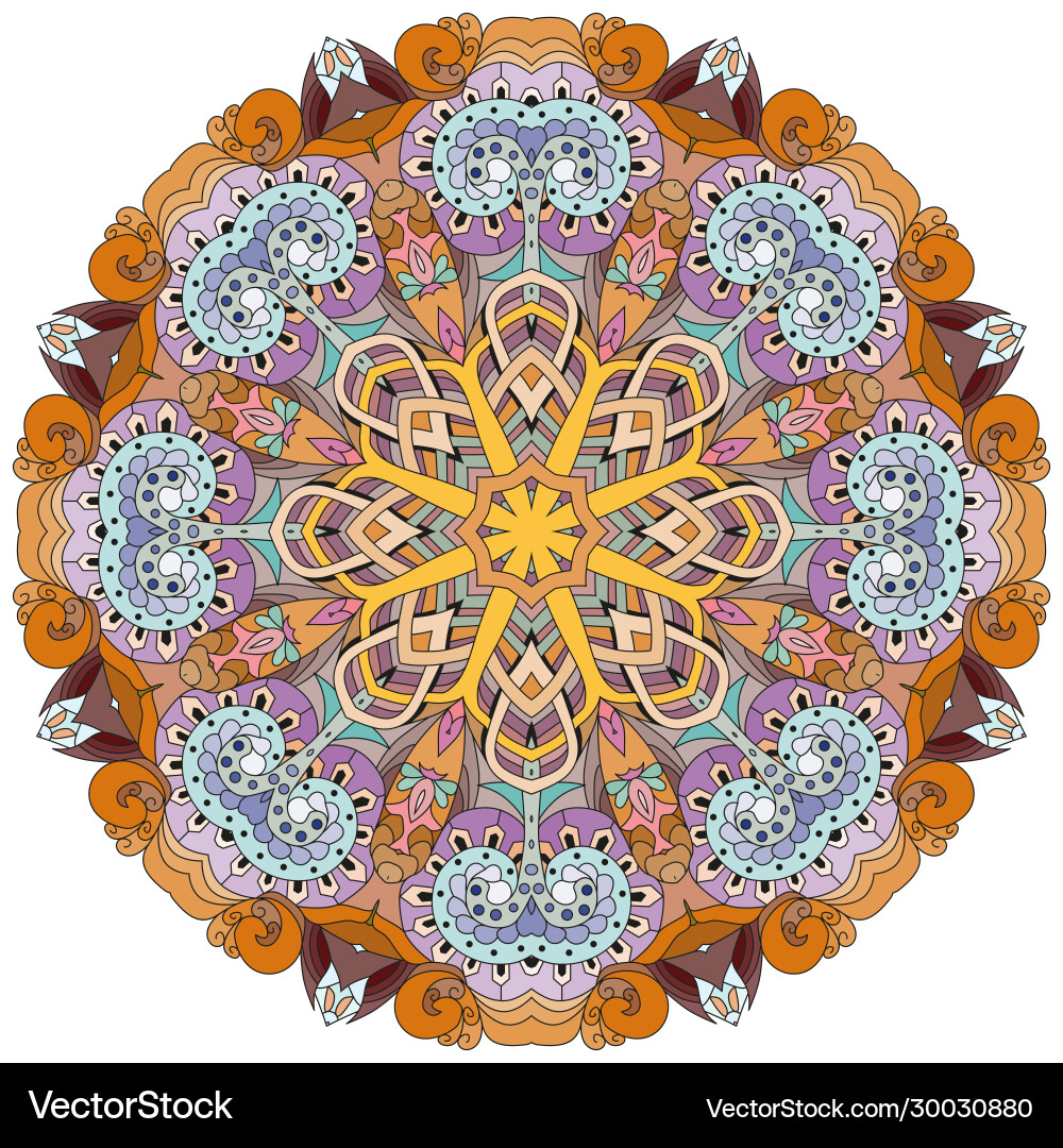 Colorful cute mandalas decorative unusual round Vector Image