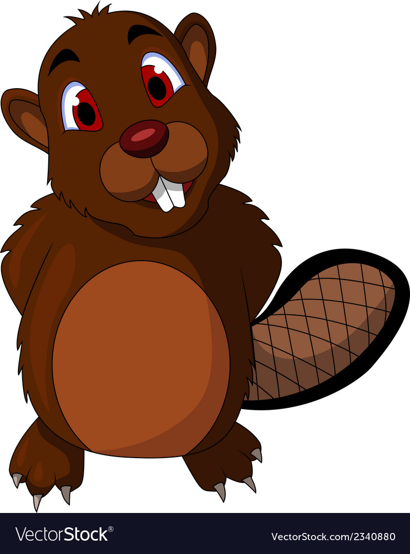 Cute Cartoon Beaver
 Cute beaver cartoon Royalty Free Vector Image VectorStock