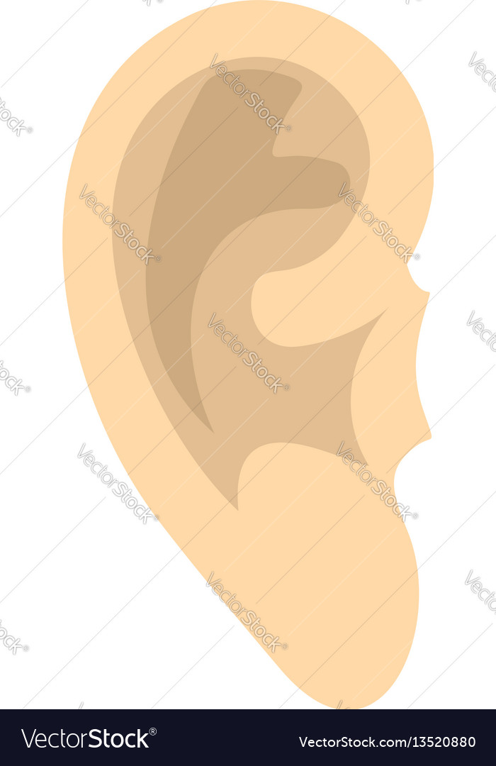 Human ear icon flat style Royalty Free Vector Image