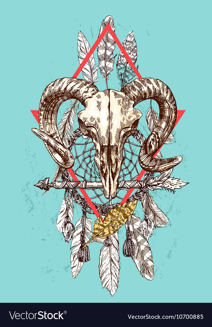 Animal skull Royalty Free Vector Image - VectorStock