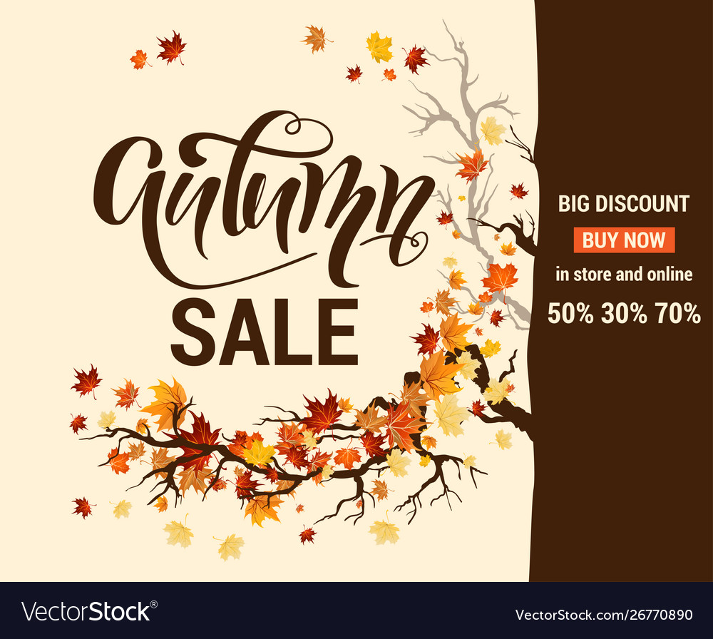Fall Advertising Banner Royalty Free Vector Image