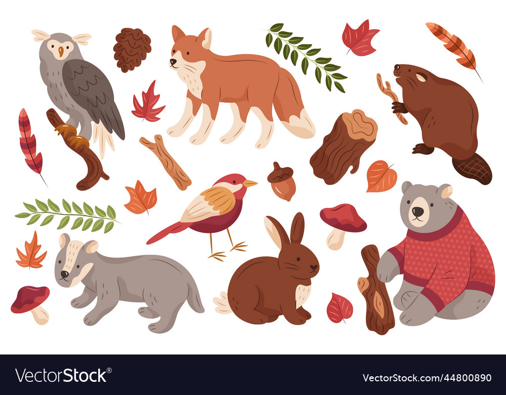 Hand drawn autumn forest animals set design Vector Image