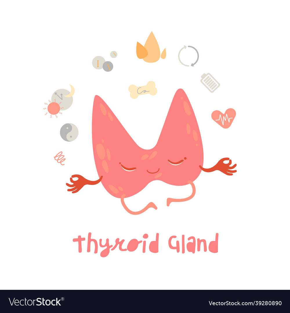 Healthy thyroid gland cartoon character in trendy Vector Image