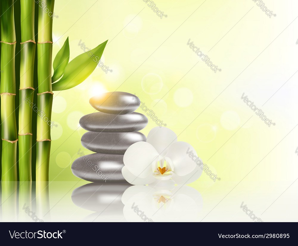 spa background with bamboo and stones royalty free vector