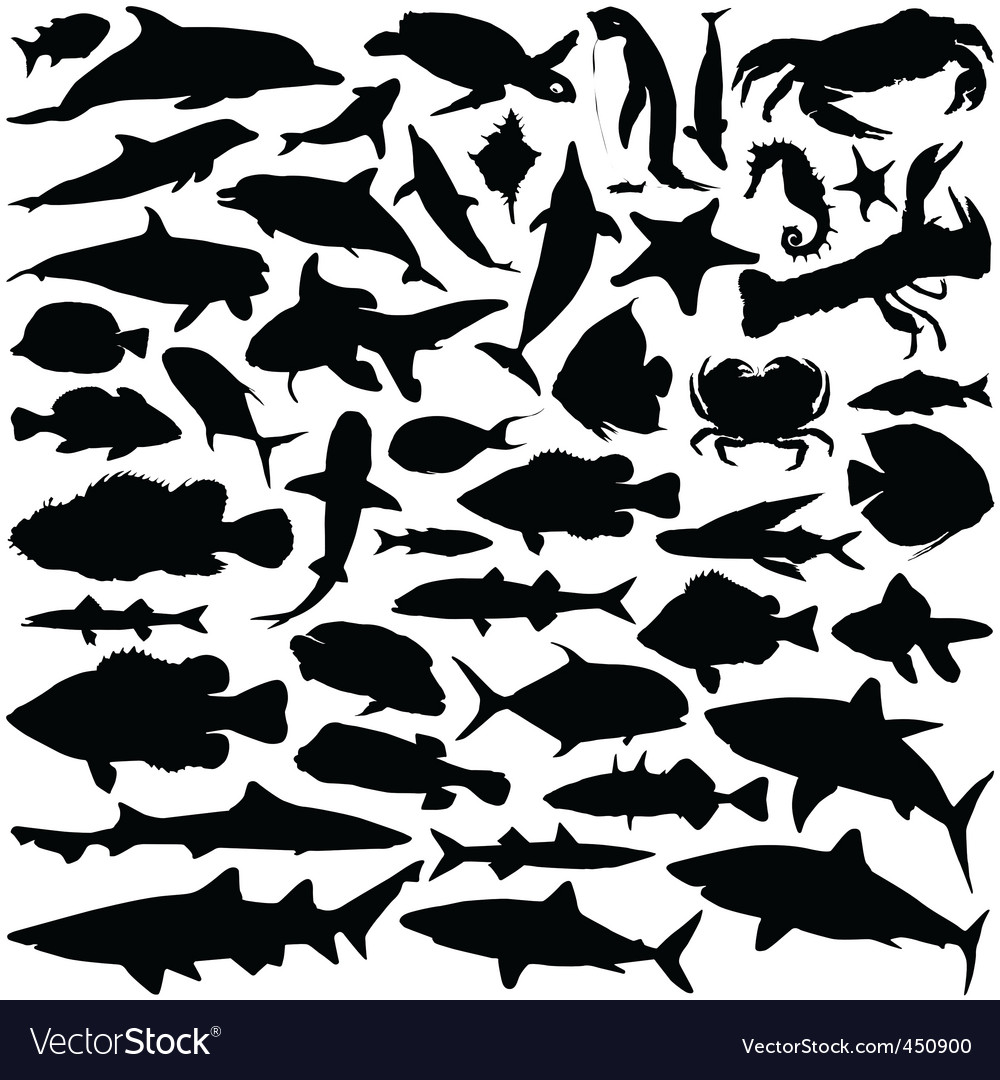 Sea animal Royalty Free Vector Image - VectorStock