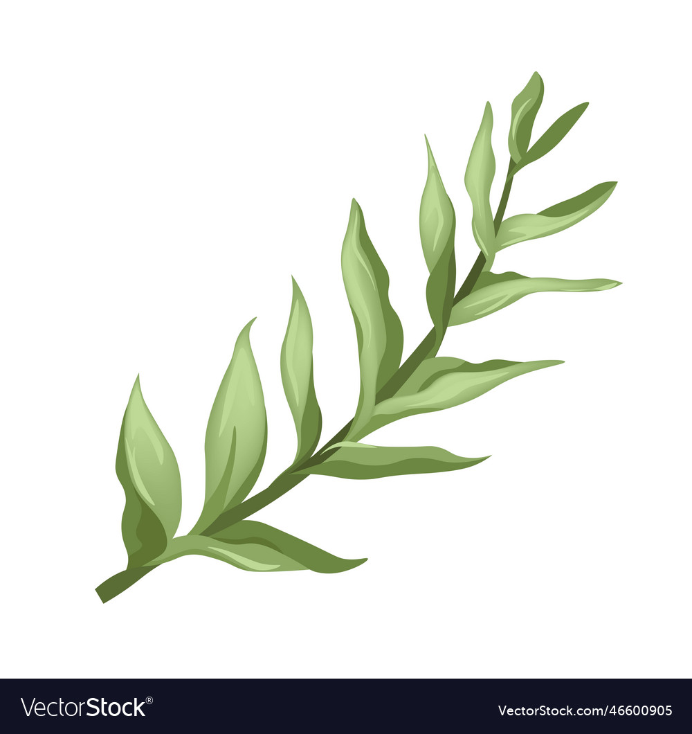 Houseplants and flowers decor leaf plant Vector Image