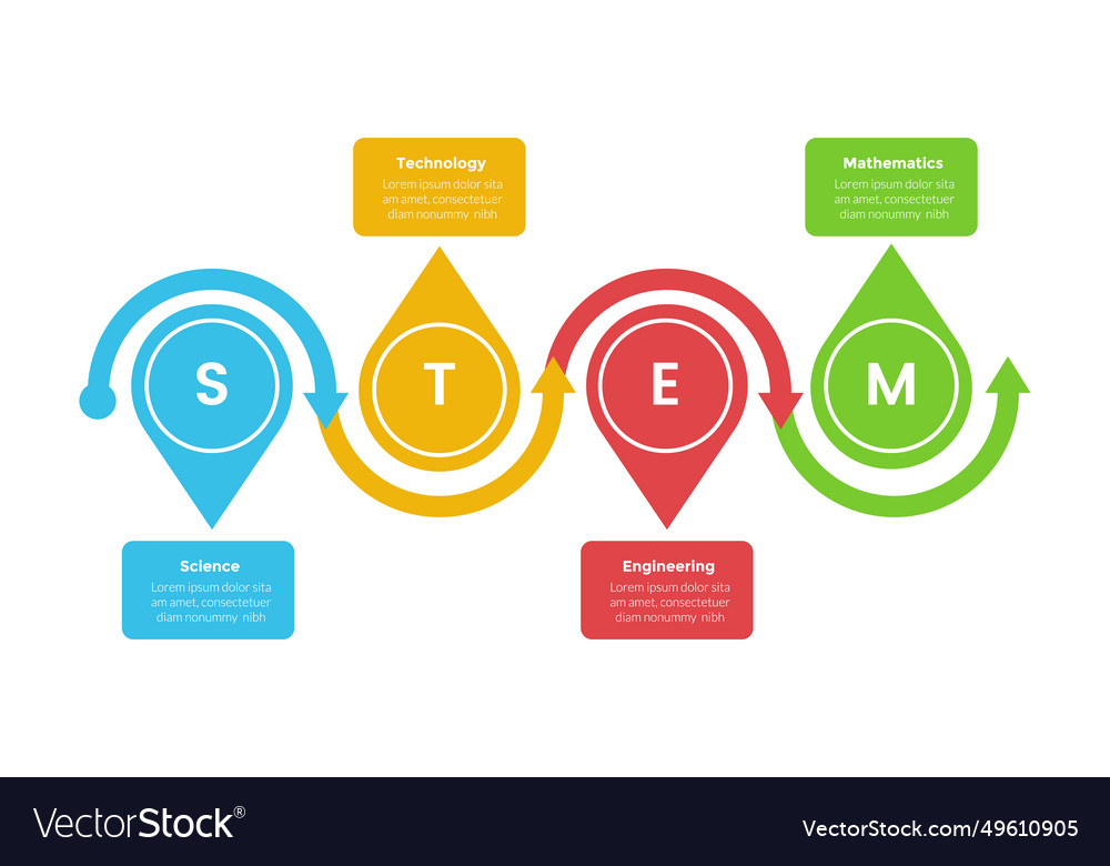 Stem education infographics template diagram Vector Image