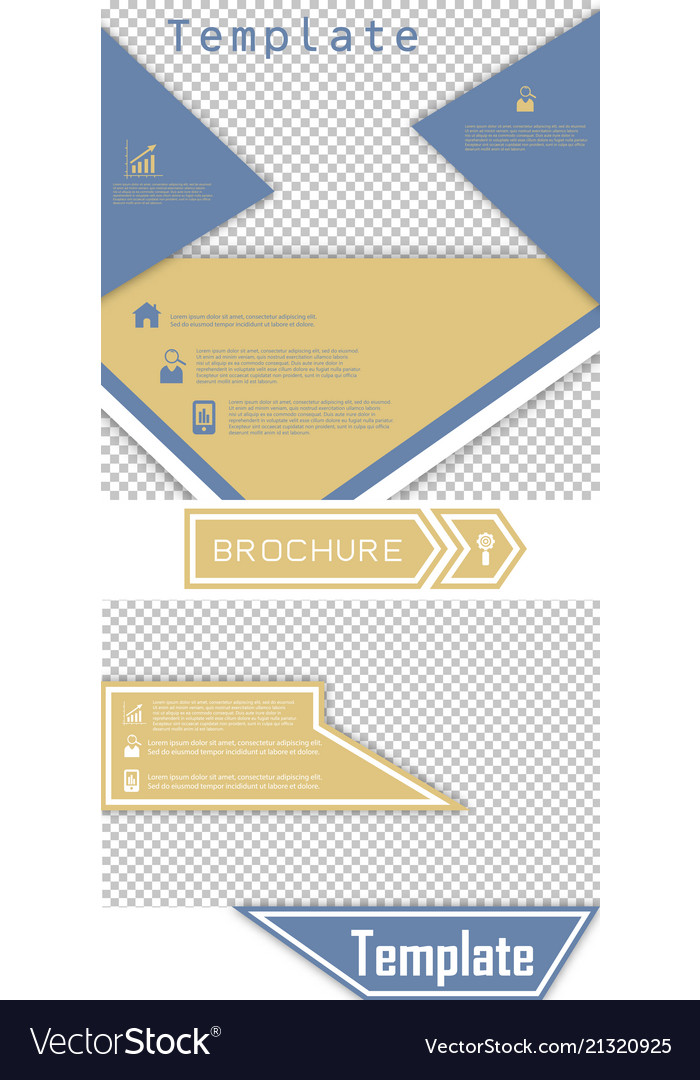 Set Of Brochure Cover Design Fancy Info Banner Vector Image