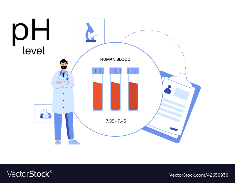 Blood ph level Royalty Free Vector Image VectorStock