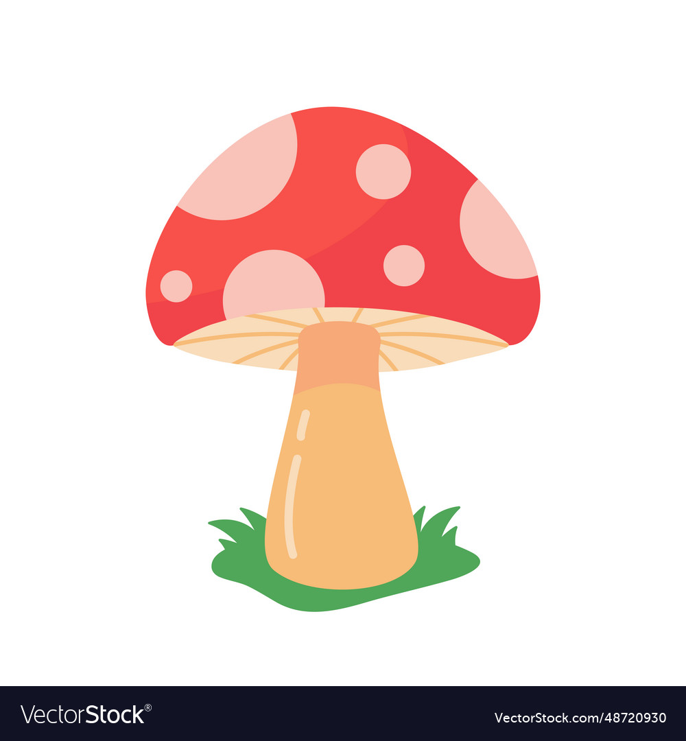 Mushrooms caused by fungi harvest season Vector Image