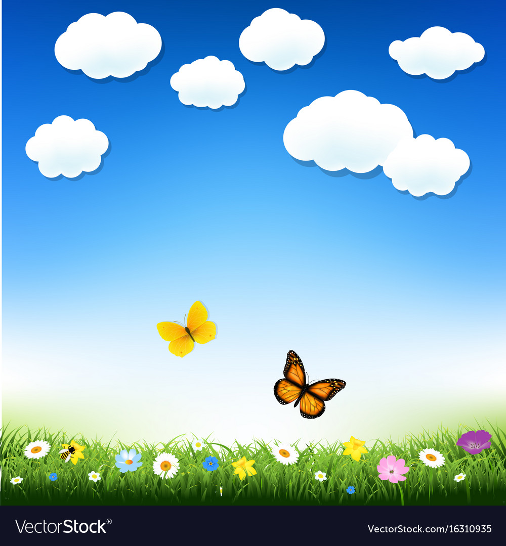 Butterfly and grass Royalty Free Vector Image - VectorStock