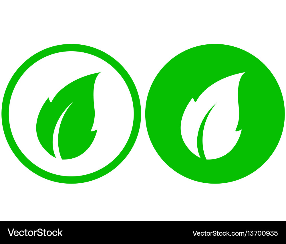 Isolated leaf icon Royalty Free Vector Image - VectorStock