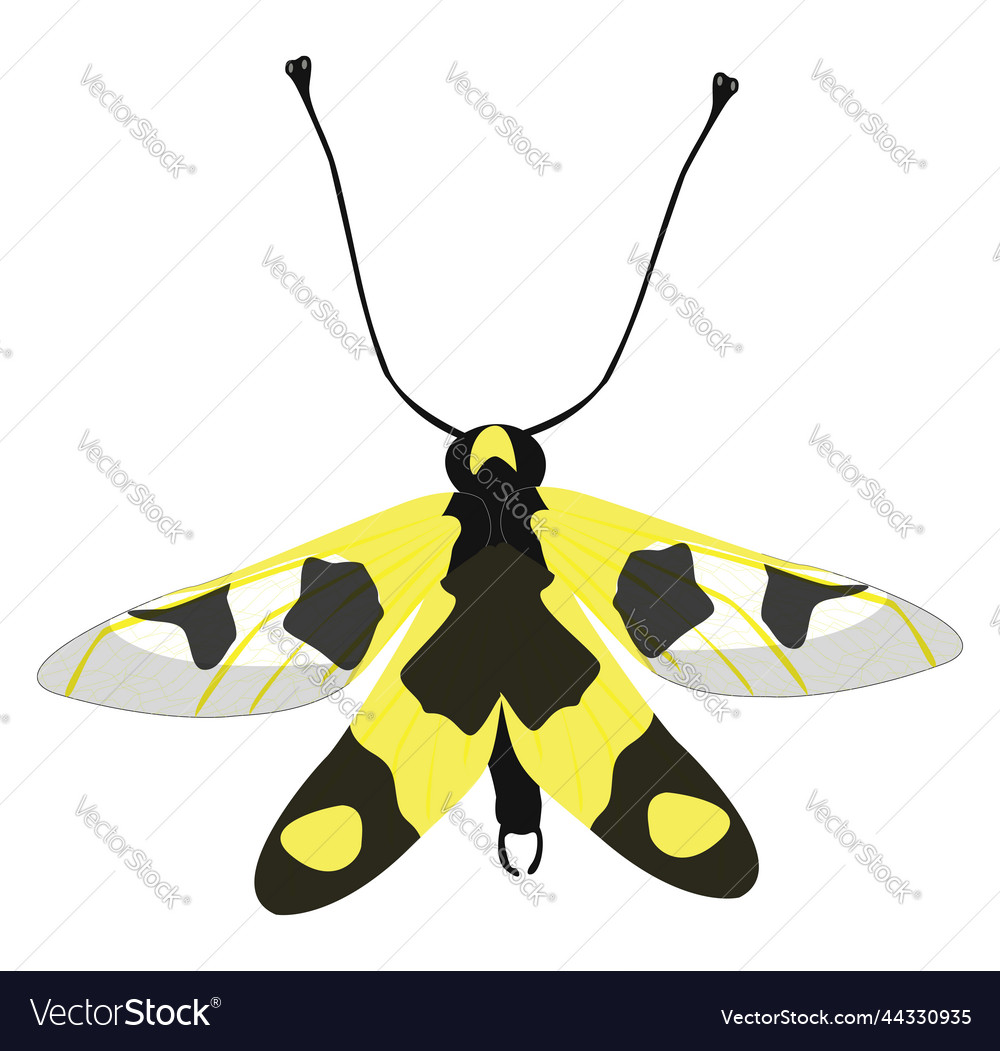 Learning to fly Royalty Free Vector Image - VectorStock