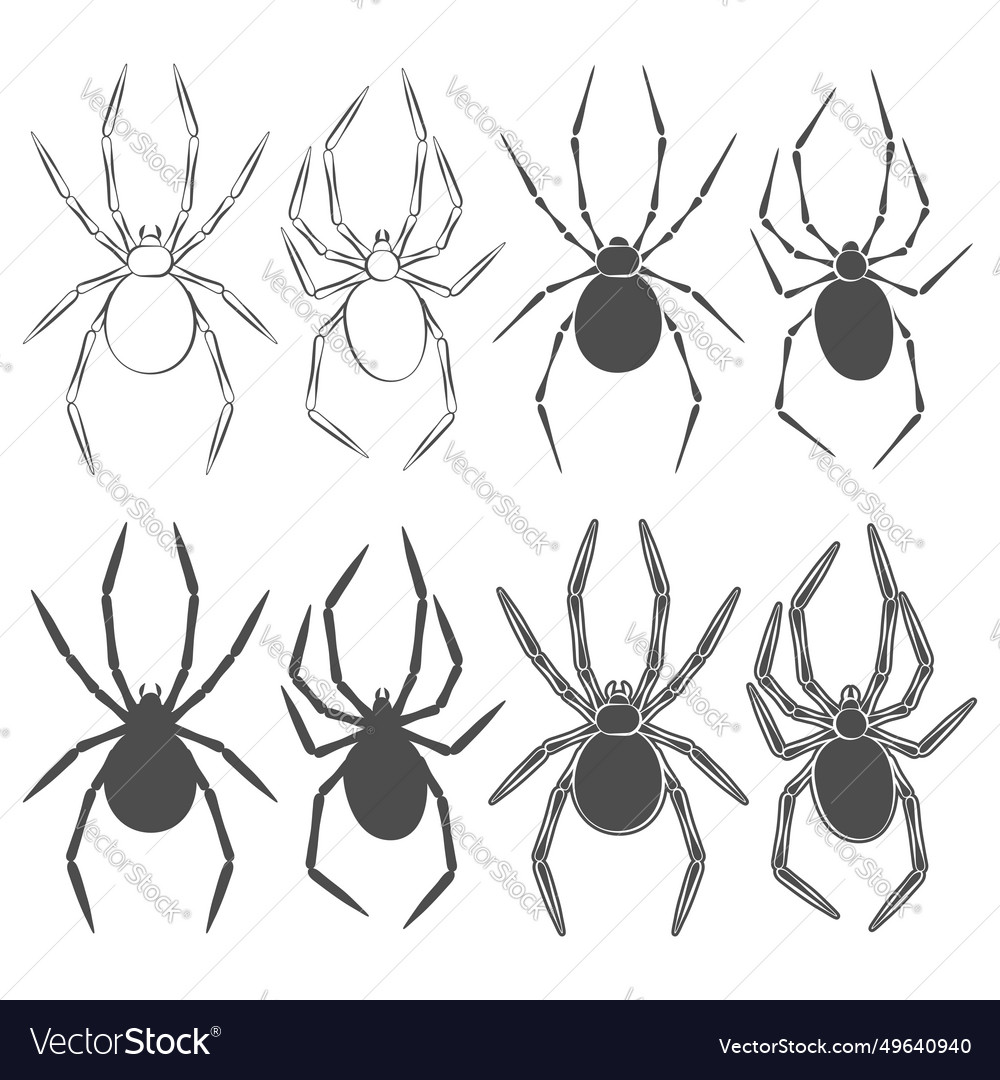 Set of black and white with spider Royalty Free Vector Image