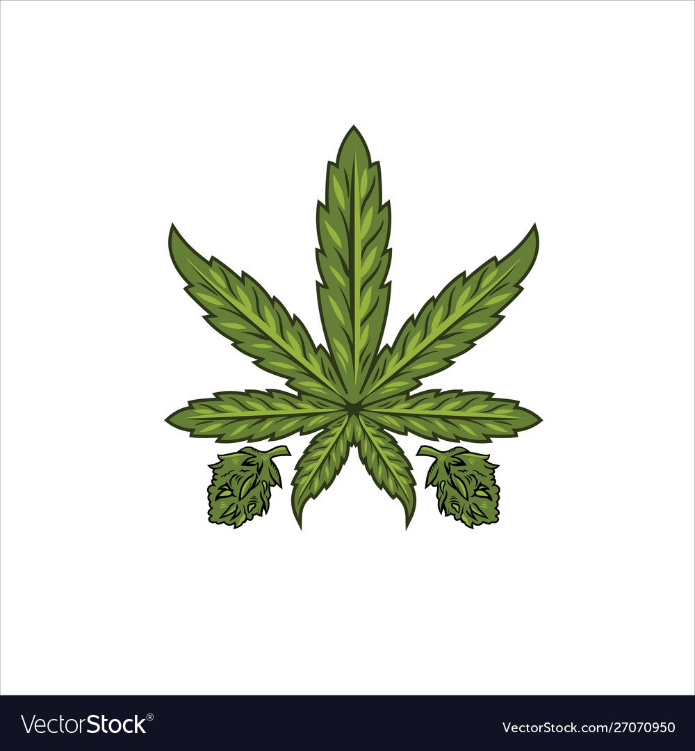 Cannabis marijuana leaf Royalty Free Vector Image